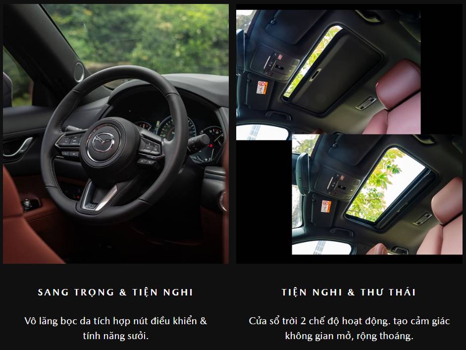 Hình 1